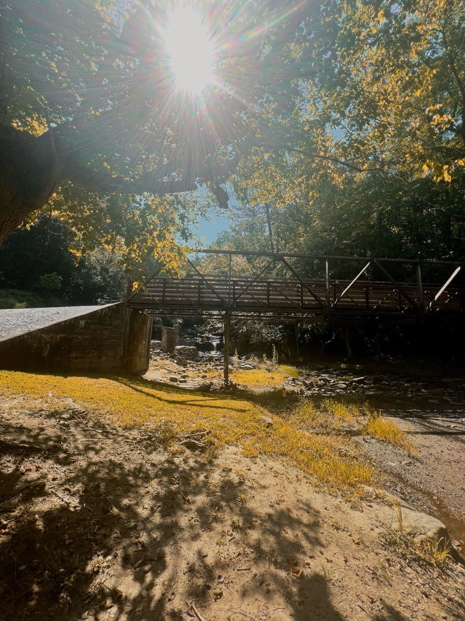 Sunlight streams through leaves above a metal footbridge and a rocky creek bed.