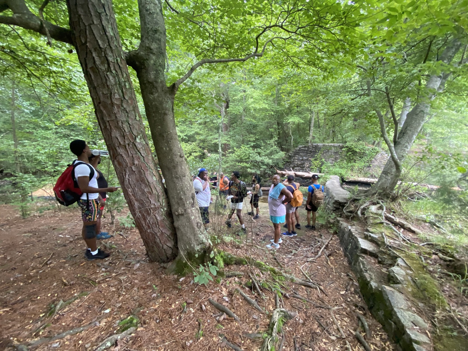 Black men descend a narrow forest trail beside large trees and weathered rock.