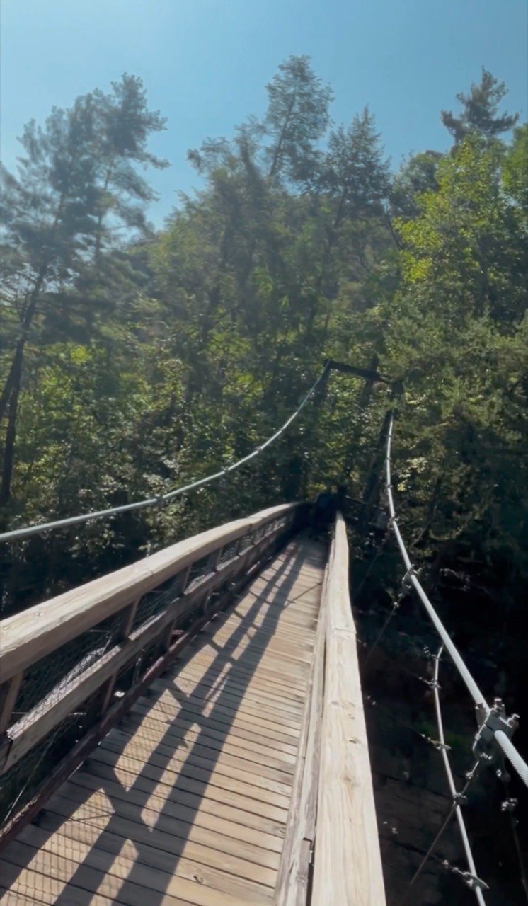A wooden suspension bridge stretches through sunlit forest at Tallulah Gorge.
